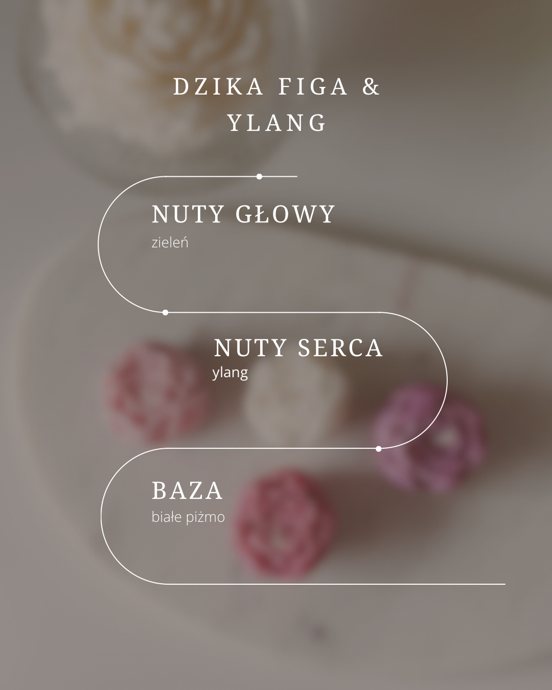 nuty zapachowe świecy dzika figa& ylang
